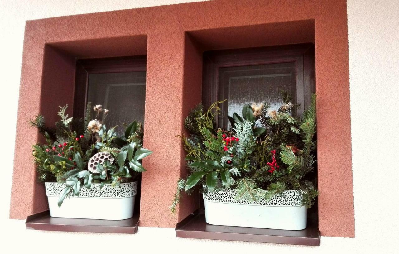 Privat Kovacova Villa Žiar Dış mekan fotoğraf