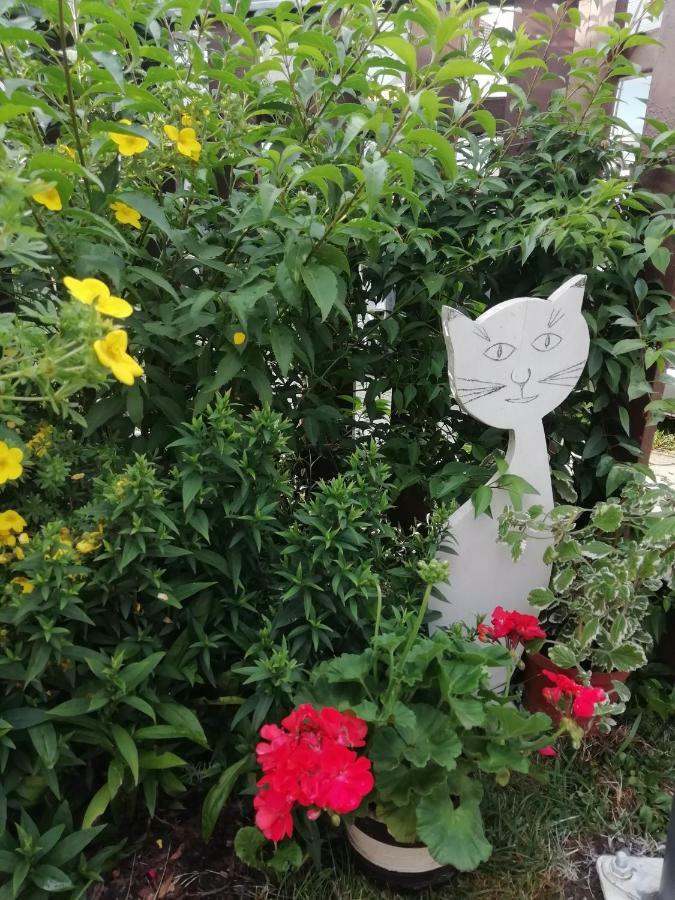 Privat Kovacova Villa Žiar Dış mekan fotoğraf