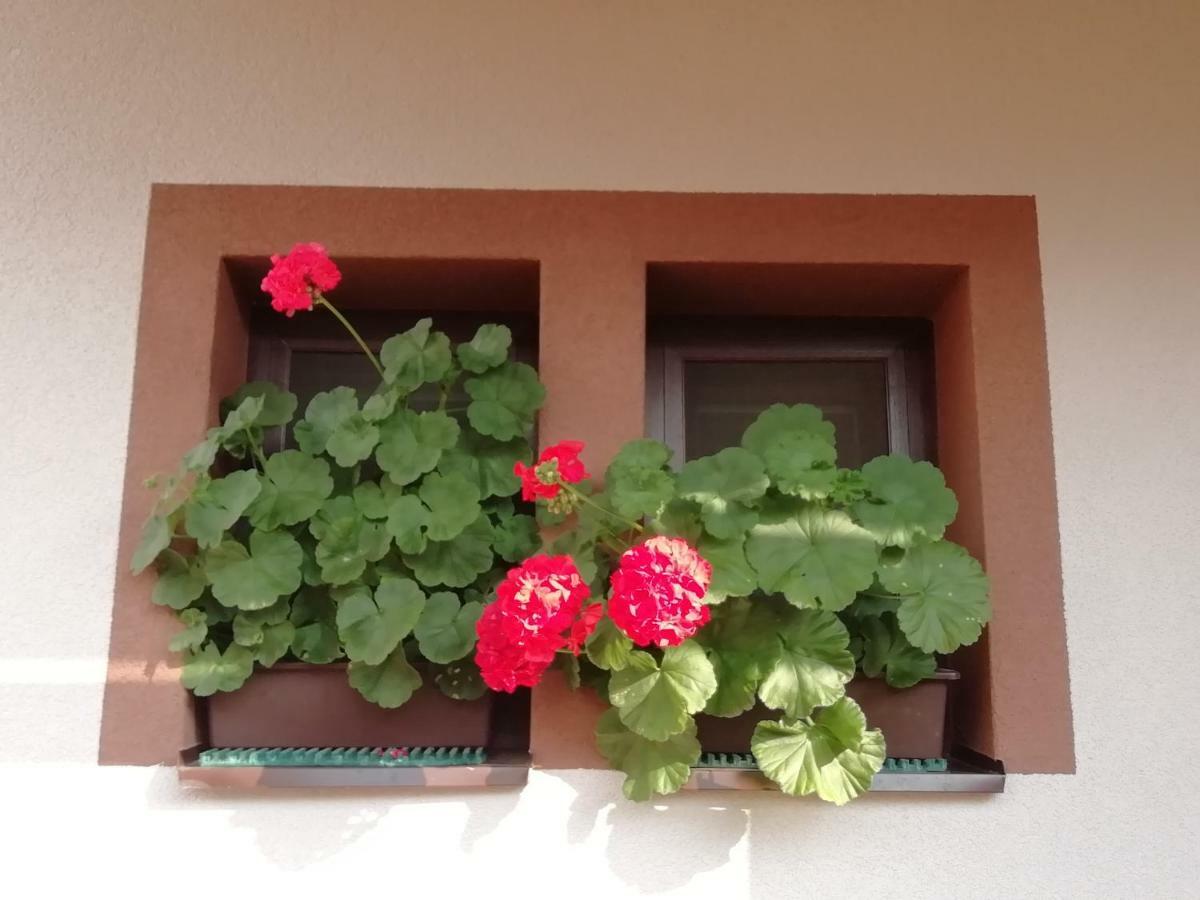 Privat Kovacova Villa Žiar Dış mekan fotoğraf
