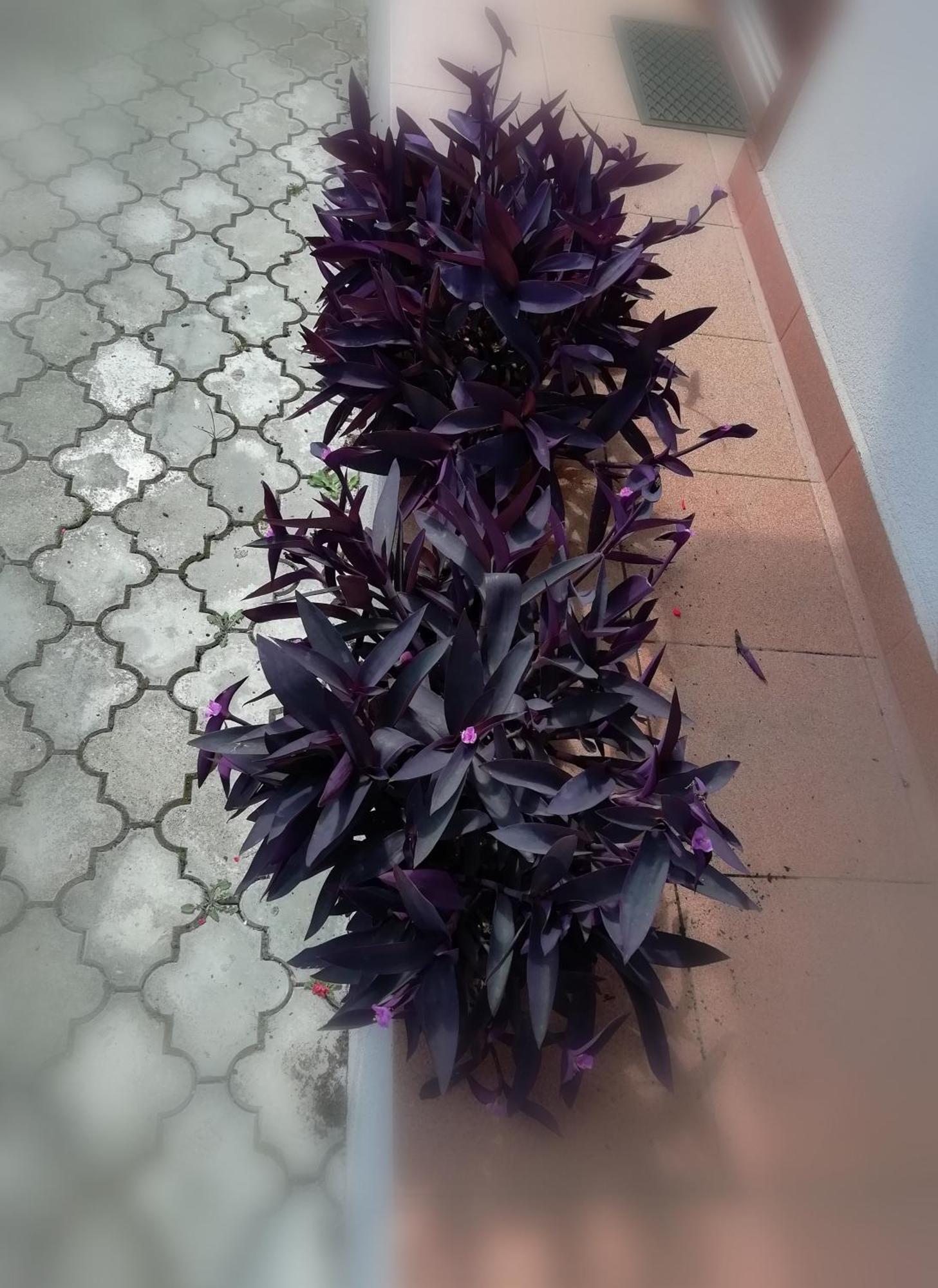 Privat Kovacova Villa Žiar Dış mekan fotoğraf