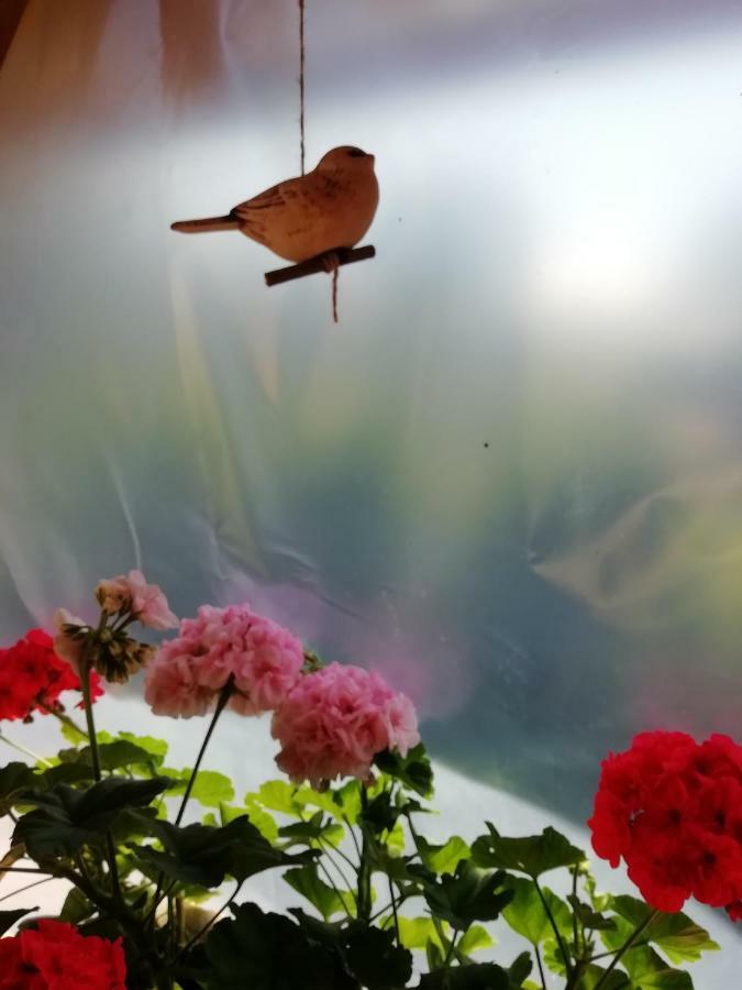 Privat Kovacova Villa Žiar Dış mekan fotoğraf